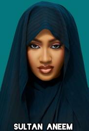 Sulthan Aneem Complete Hausa Novel By Mujaheeda Matar Malam.txt